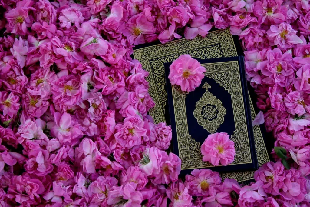 The Quran is God's words; the final message sent from our Creator to humanity.